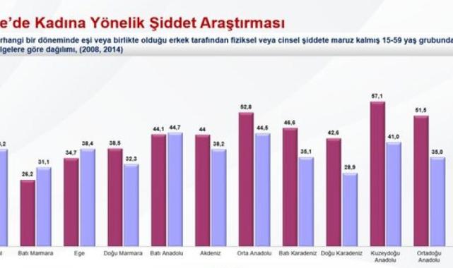 2023 pilot çalışması paylaşıldı: En yüksek şiddet oranı Orta Anadolu'da