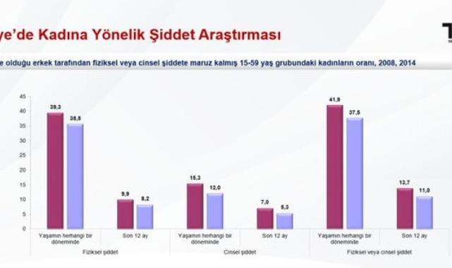2023 pilot çalışması paylaşıldı: En yüksek şiddet oranı Orta Anadolu'da