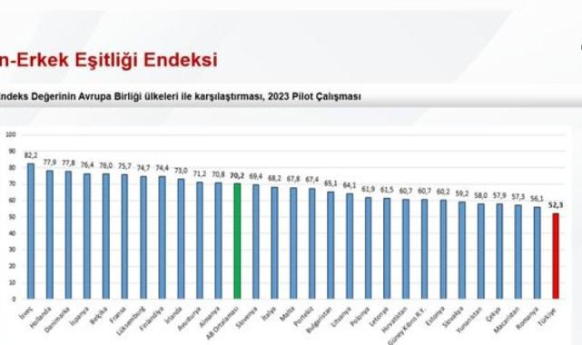 2023 pilot çalışması paylaşıldı: En yüksek şiddet oranı Orta Anadolu'da