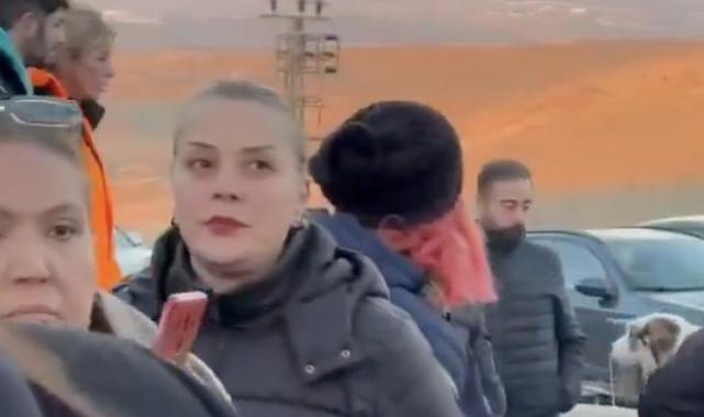 Ankara'da barınaktaki köpekleri sokaklara saldılar