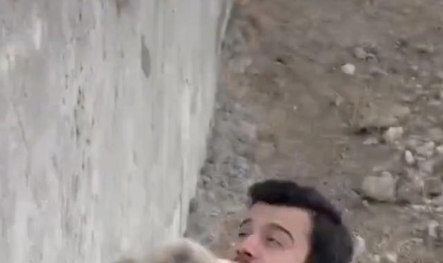 Ankara'da barınaktaki köpekleri sokaklara saldılar