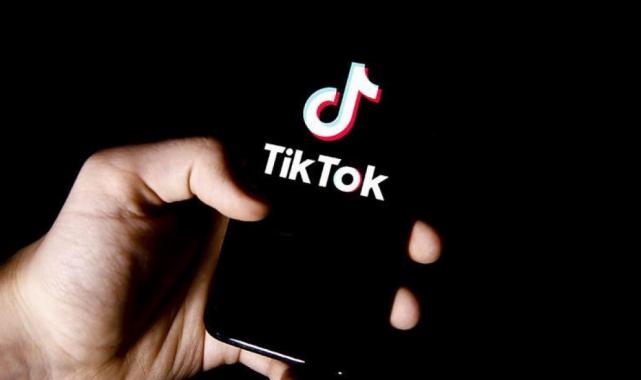 Arnavutluk, TikTok'u yasakladı!