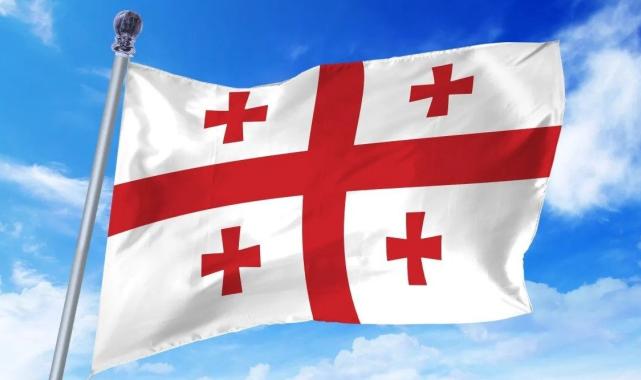 Avrupa Parlamentosu heyeti Gürcistan’da temaslarda bulundu