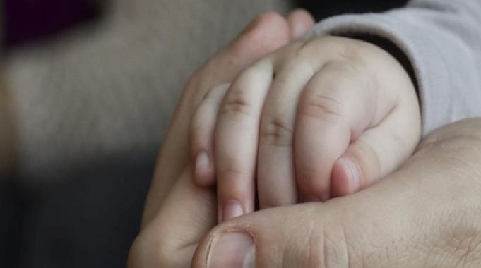 Bakanlık bünyesinde Nüfus Politikaları Kurulu ve Aile Enstitüsü kuruldu