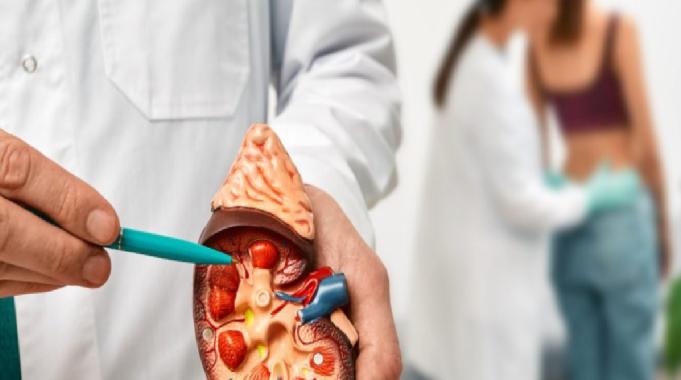 Böbrek Kanseri Nasıl Tedavi Edilir?