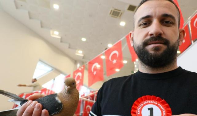 Bu güvercinlerin değeri arabalarla yarışıyor!