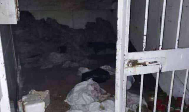 Esad'ın işkence hapishanesi: Sednaya'da neler yaşandı?