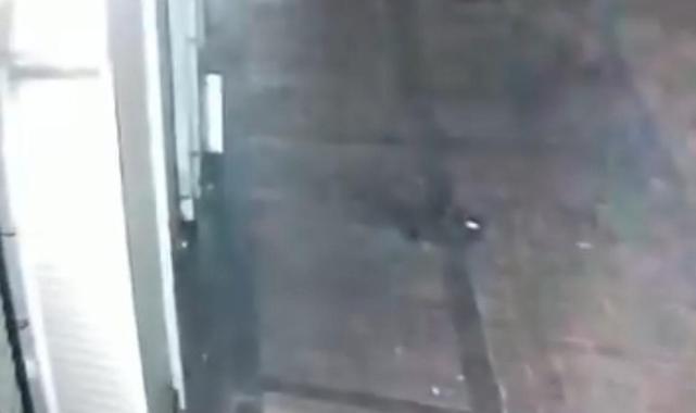 İstanbul'da şehir magandaları, Japon turisti önce darbedip sonra gasbettiler