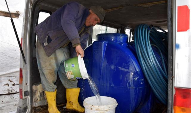 İstanbul'dan köyüne döndü aldığı 100 koyunu 520'ye çıkardı