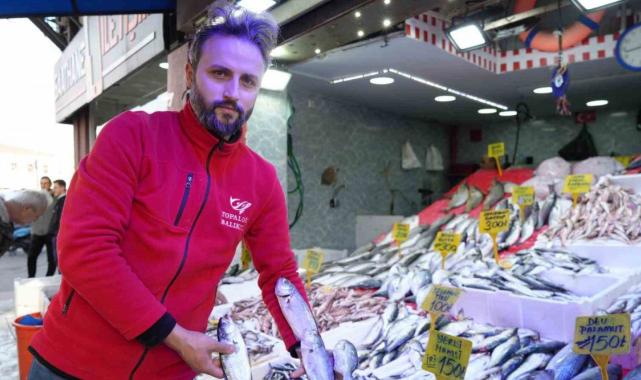 Karadeniz’in tezgahın gözdesi hamsi oldu