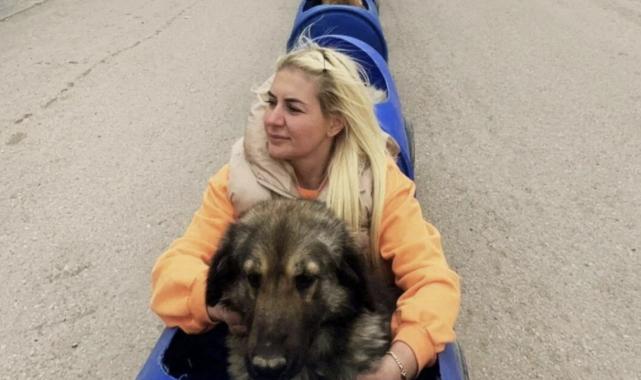 Köpek velisi Buket Özgünlü'nün "araç" vurgunu