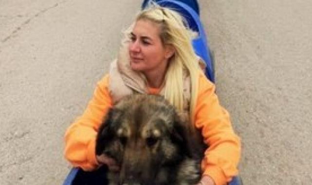 Köpek velisi Buket Özgünlü'nün "araç" vurgunu