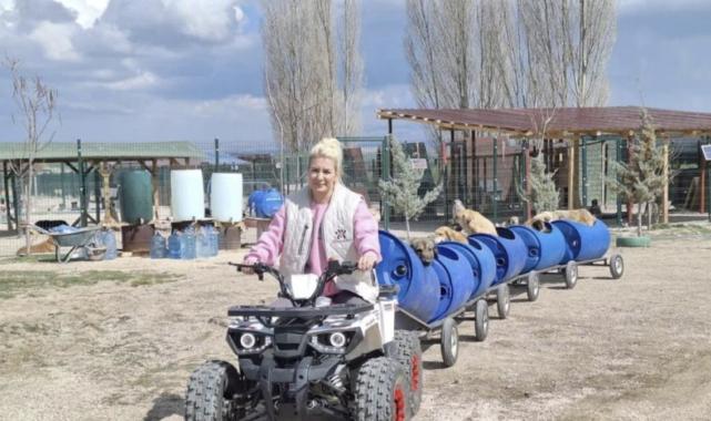 Köpek velisi Buket Özgünlü'nün "araç" vurgunu