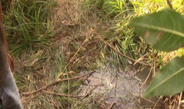 Narin Güran cinayeti davasında 6 kişinin ifadesi alındı