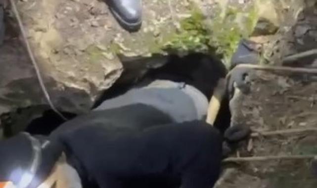 Papa Francis'in geleceğini duyan defineciler İznik'te kaçak kazı yaptı