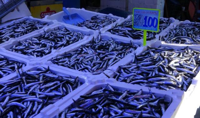 Rize'de havalar soğudu, balık çeşitliliği arttı
