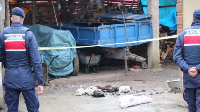 Sakarya&#039;da annesinin horozlarını komşuya verdiğini duyunca dehşet saçan şahıs serbest bırakıldı