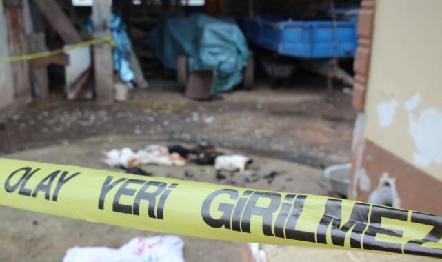 Sakarya'da annesinin horozlarını komşuya verdiğini duyunca dehşet saçan şahıs serbest bırakıldı