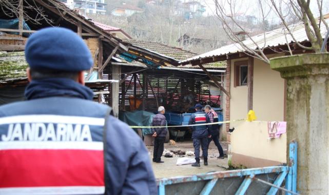 Sakarya'da annesinin horozlarını komşuya verdiğini duyunca dehşet saçan şahıs serbest bırakıldı