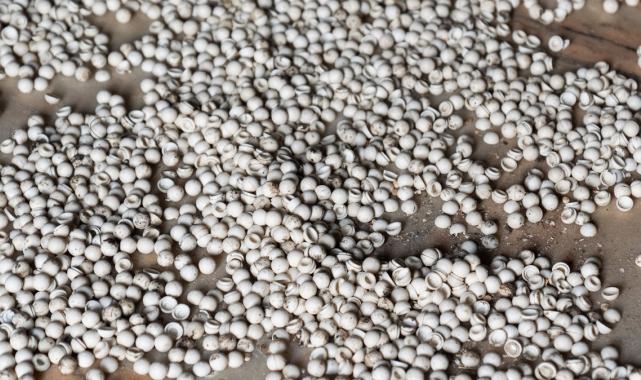 Şam'da Mahir Esad'e ait yeni uyuşturucu imalathaneleri ortaya çıktı