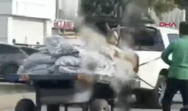 Şanlıurfa'da yük taşıyan ata eziyet anları tepki çekti