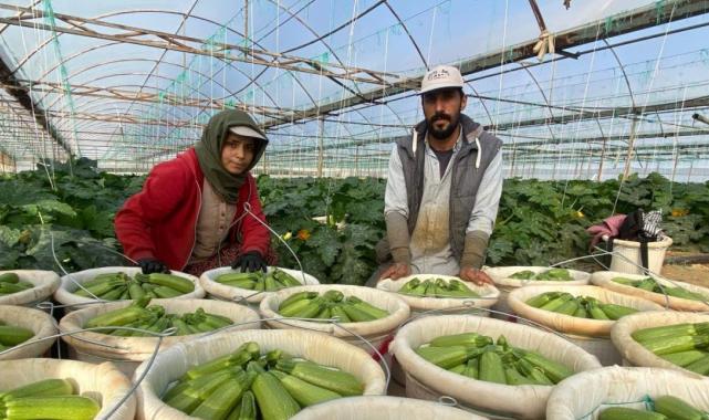 Suriye'den kaçıp Türkiye'de evlenen çift yaşadıkları zulmü anlattı
