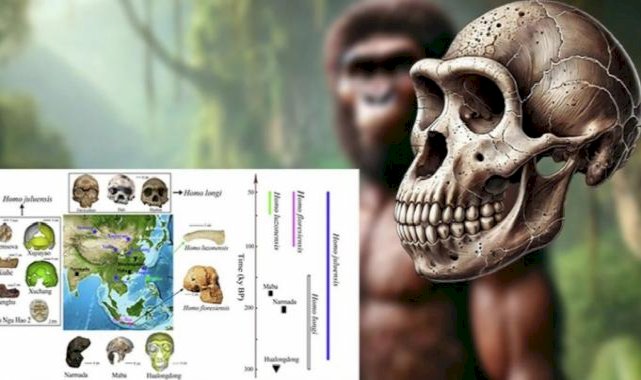 Çin'de yeni bir insan türü keşfedildi