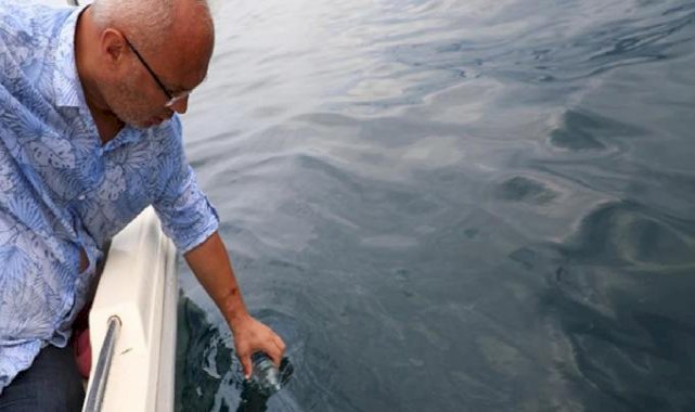 Enerji ve Tabii Kaynaklar Bakanı Alparslan Bayraktar duyurdu: Rize'de petrol sondajı başlıyor