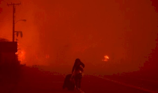 Kaliforniya'da orman yangını: 3 bin 983 dönümlük alan kül oldu