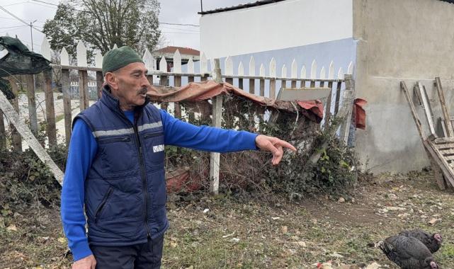 Yılbaşı hindileri, hırsızların hedefi oldu