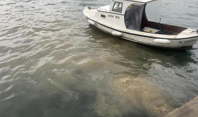 2024'te çevreyi kirleten tesislere 2 milyar lirayı aşkın ceza