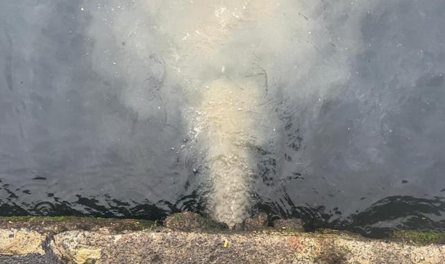 2024'te çevreyi kirleten tesislere 2 milyar lirayı aşkın ceza