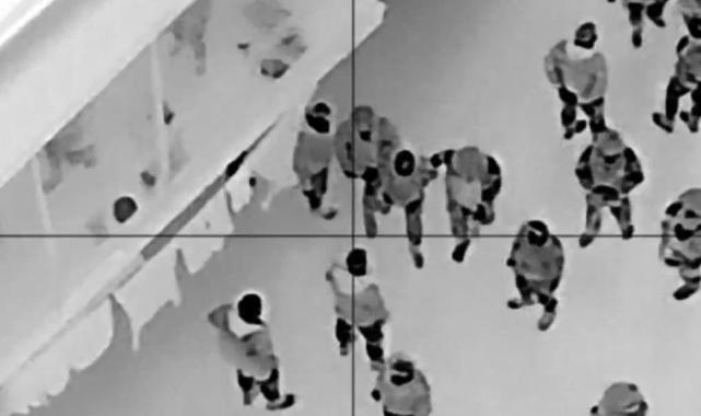 9 ilde 'Hücre' operasyonu: 9 organize suç örgütü çökertildi