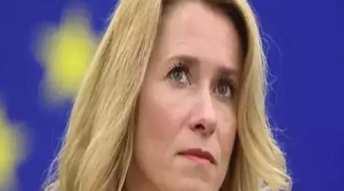 AB Yüksek Temsilcisi Trump'ı tebrik etti