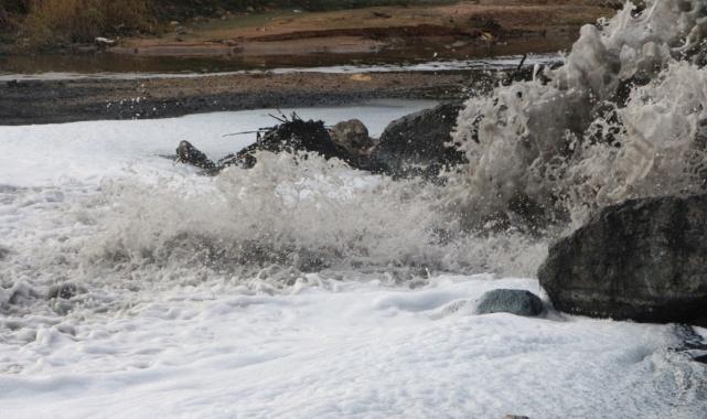 Adana Ceyhan Nehri’nde balık ölümleri