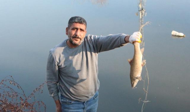 Adana Ceyhan Nehri’nde balık ölümleri