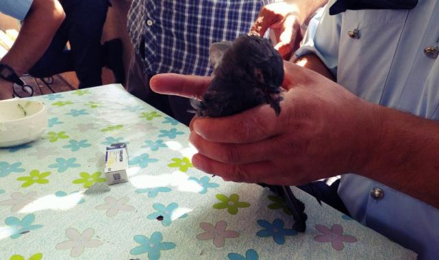 Adana'da ailesini katleden polis memurunun güvercin kurtardığı görüntüler ortaya çıktı