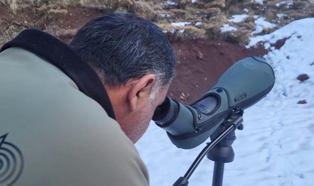 Adıyaman'da yaban keçisi avlayanlara tazminat cezası