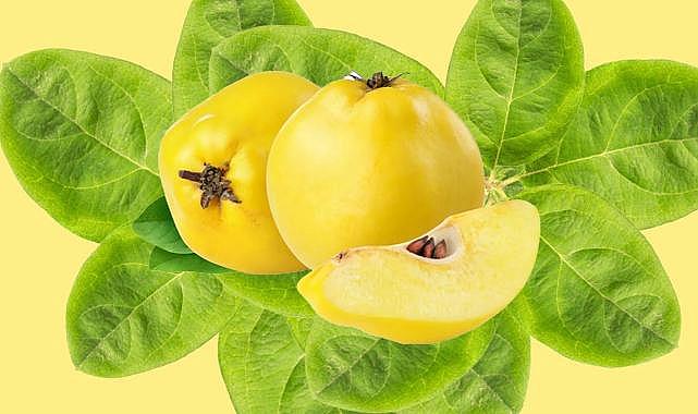 Akciğer için bundan daha etkilisi neredeyse yok.