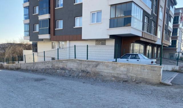 Ankara'da başıboş köpek dehşeti: Hamile kadına saldırdılar