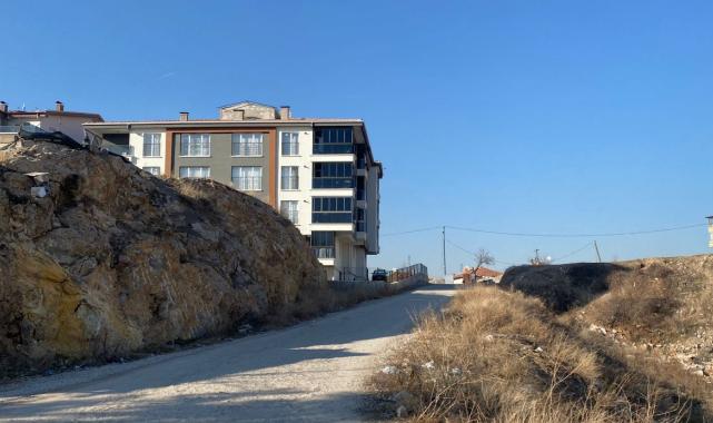 Ankara'da başıboş köpek dehşeti: Hamile kadına saldırdılar