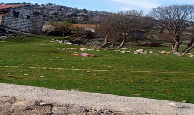 Antalya'da saldırdıkları kadını öldüren köpeklerin sahibine hapis cezası