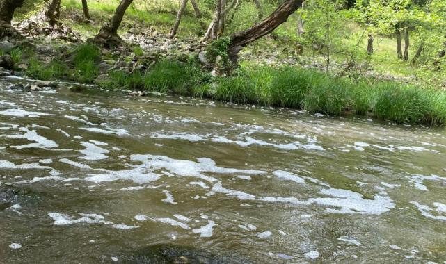 Balıkesir'de Ketenlik Deresi, kimyasallarla beyaza büründü