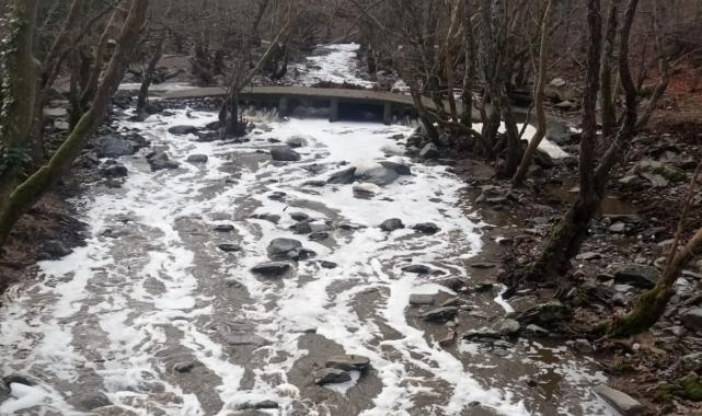Balıkesir'de Ketenlik Deresi, kimyasallarla beyaza büründü