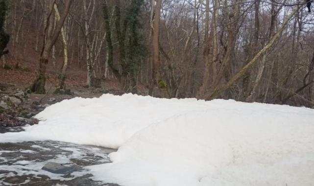 Balıkesir'de Ketenlik Deresi, kimyasallarla beyaza büründü