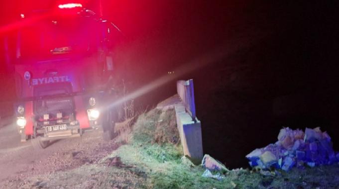 Çorum'da köprüden aşağı düştü