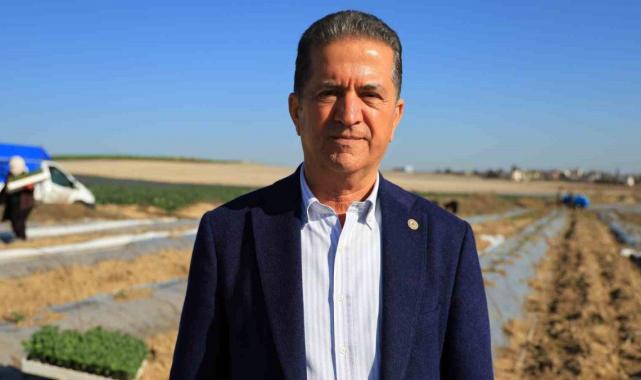 Erkenci karpuzlar için Adana'da fideler toprakla buluşuyor