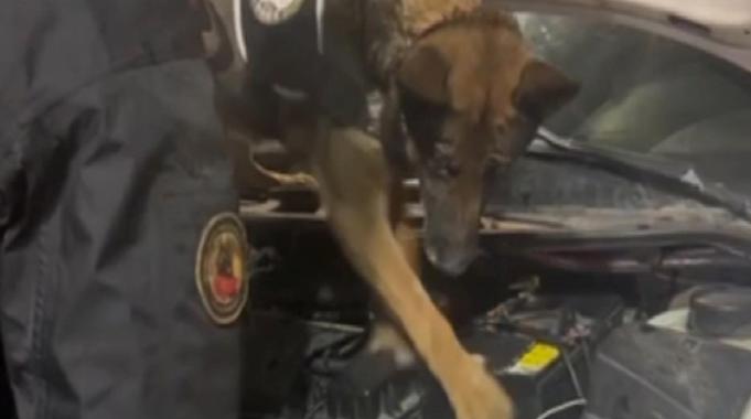 Erzurum&#039;da aküye gizlenmiş 3 kilo uyuşturucu bulundu