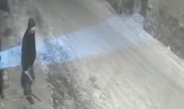 Erzurum'da yerleşim yerine inen kurtlar sokakta yiyecek aradı