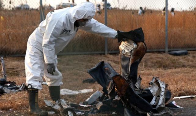 Güney Kore’deki uçak kazasıyla ilgili yeni detaylar